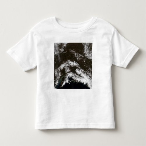 Snow in south central Alaska Toddler T_shirt