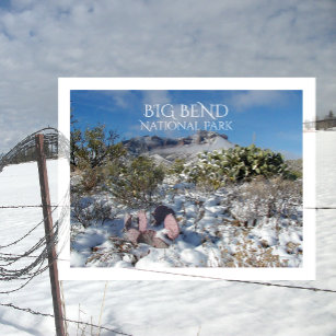 Snow in the Chisos Mountains, Big Bend Postcard