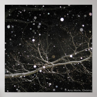 Snow in the Night Poster