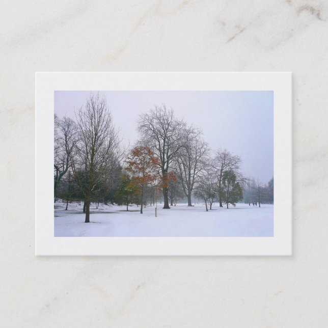 Snow in the Park, Mini Photo Business Card (Front)