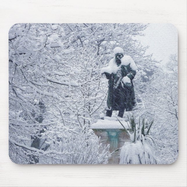 Snow in the Park Mouse Pad (Front)