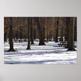 Snow in the Park Poster