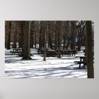 Snow in the Park Poster