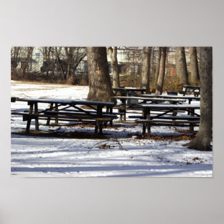 Snow in the Park Poster
