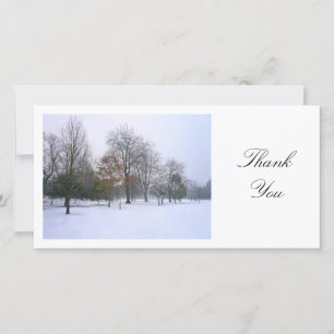 Snow in the Park - Thank You