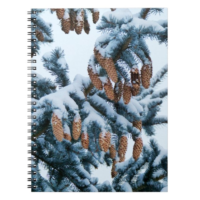 Snow in the Pines Notebook (Front)