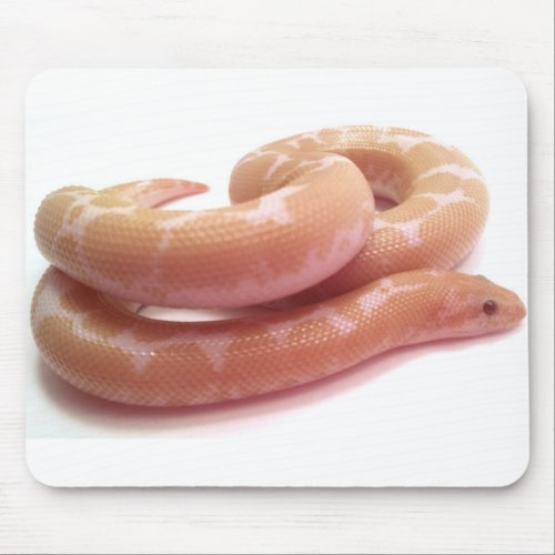 Snow Kenyan sand boa Mouse Pad