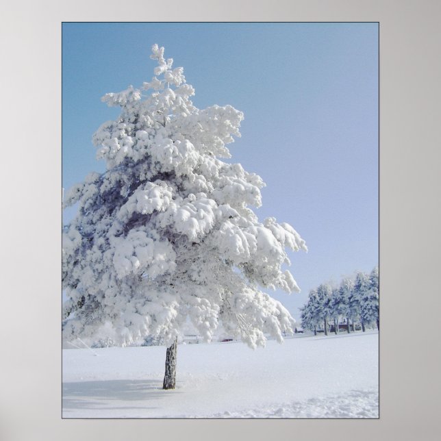 Snow Kissed Tree Poster (Front)
