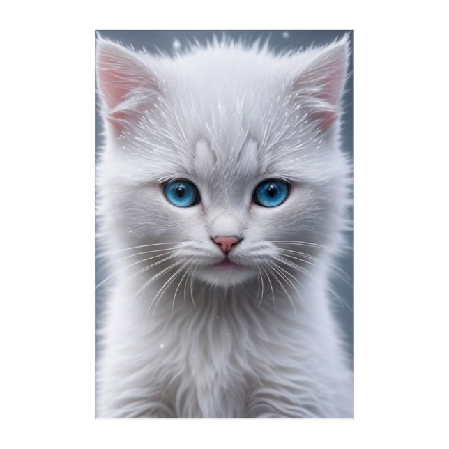 Snow Kitten Acrylic Print (Front)