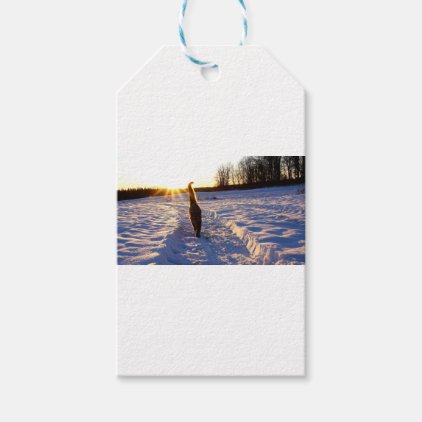 Snow Kitty Gift Tags