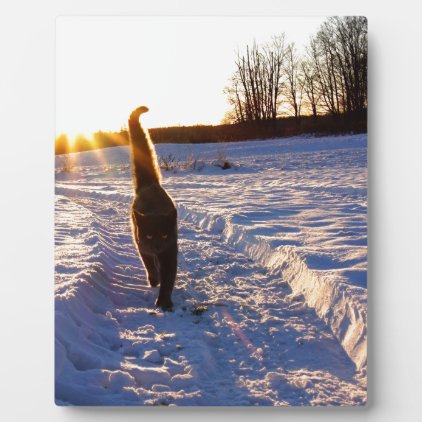 Snow Kitty Plaque