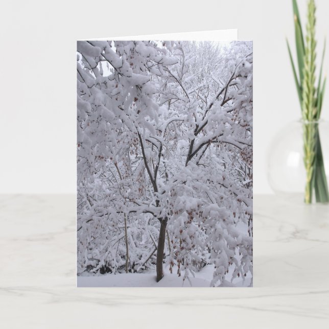 Snow-Laden Trees Card (Front)
