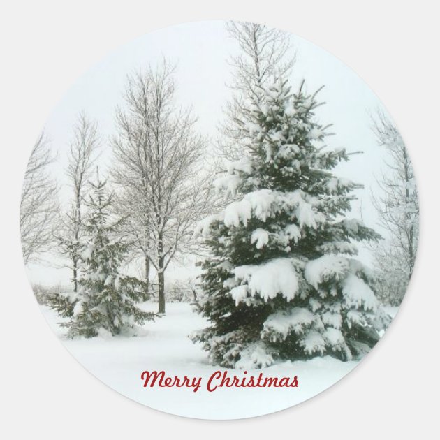 Snow-Laden Trees, Merry Christmas Classic Round Sticker