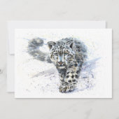 Snow leopard (Front)