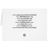 snow-leopard-00457 cards (Back Horizontal)