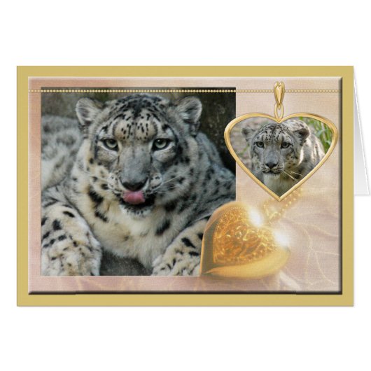 snow-leopard-00457 cards (Front Horizontal)