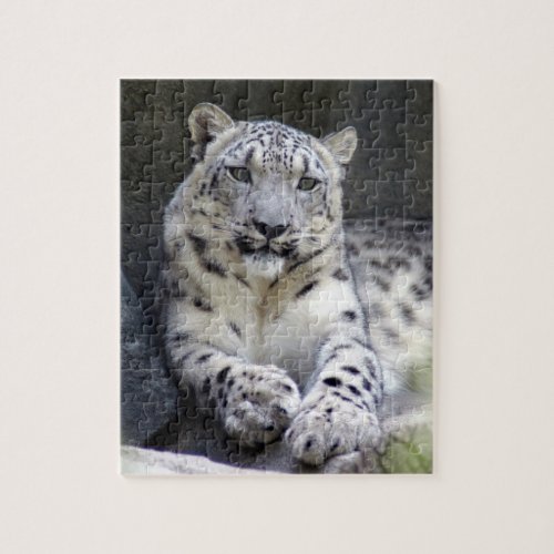 snow leopard 27 jigsaw puzzle