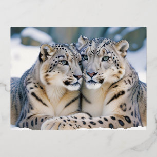 Snow Leopard Animal Nature Wildlife Affection Love Foil Holiday Postcard