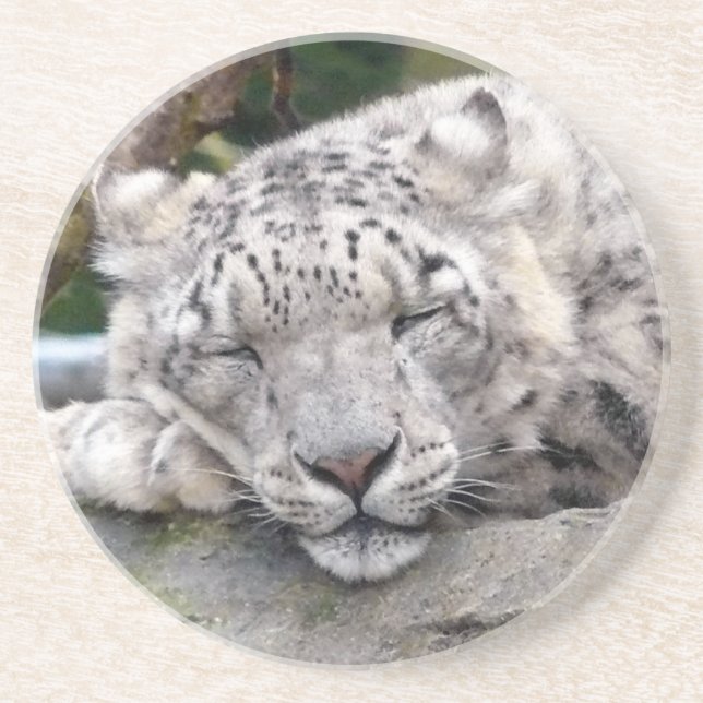 Snow Leopard - beautiful! Drink Coaster (Front)