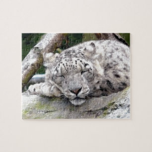 Snow Leopard - beautiful! Jigsaw Puzzle