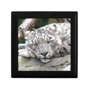 Snow Leopard - beautiful! Keepsake Box