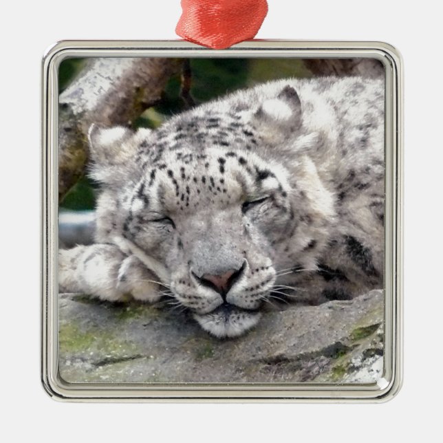 Snow Leopard - beautiful! Metal Ornament (Front)