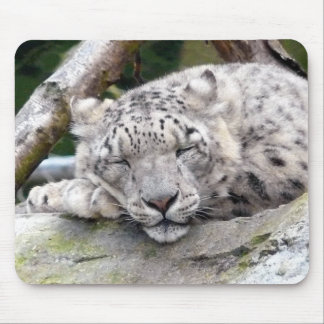 Snow Leopard - beautiful! Mouse Pad