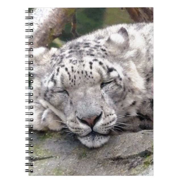 Snow Leopard - beautiful! Notebook (Front)