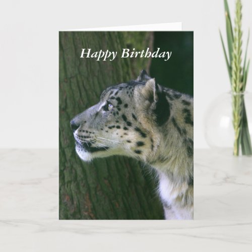 Snow leopard beautiful photo happy birthday card