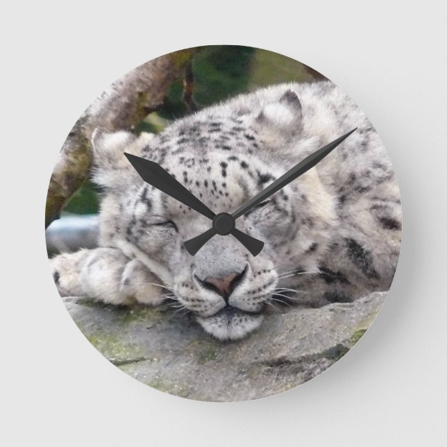 Snow Leopard - beautiful! Round Clock (Front)