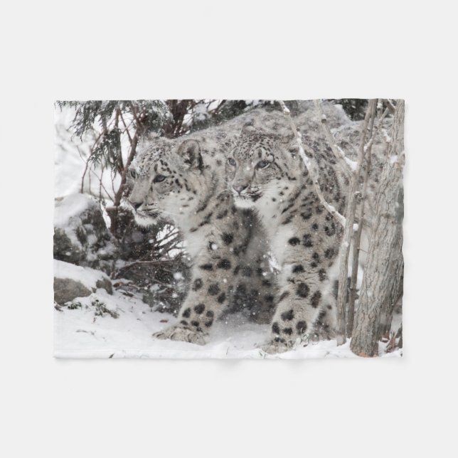 Snow Leopard Brothers Walking Fleece Blanket (Front (Horizontal))