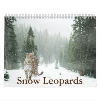Snow Leopard Calendar