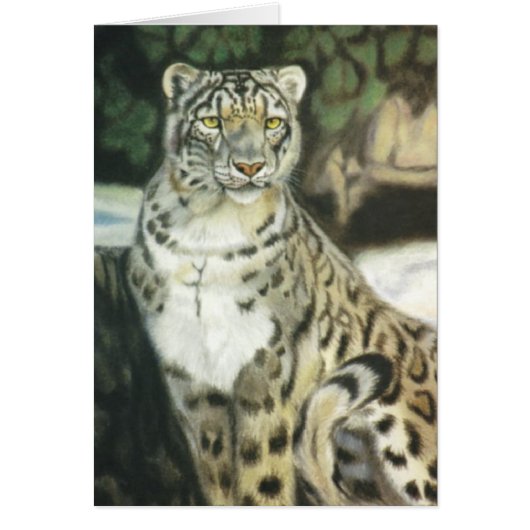"Snow Leopard" Cards (Front)