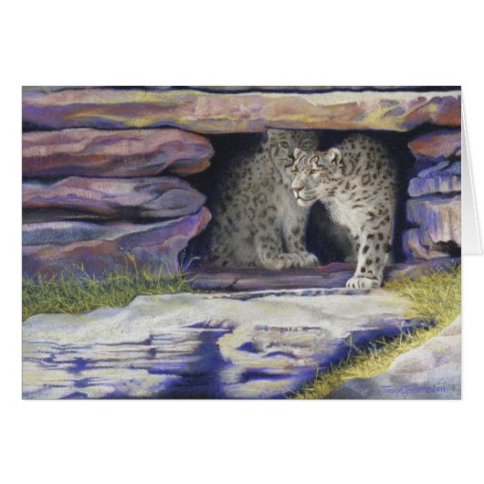 Snow Leopard Cards (Front Horizontal)