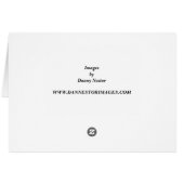 Snow Leopard Cards (Back Horizontal)