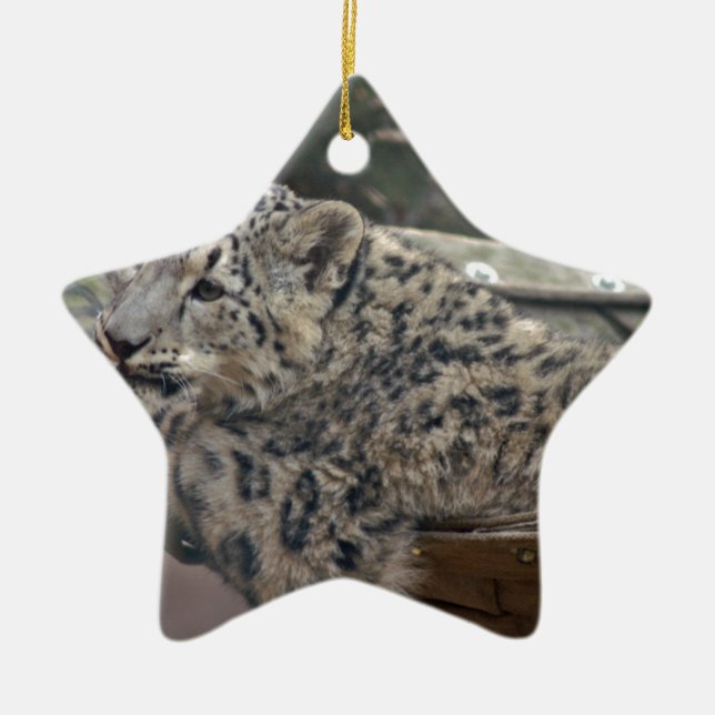 Snow Leopard Ceramic Ornament (Front)