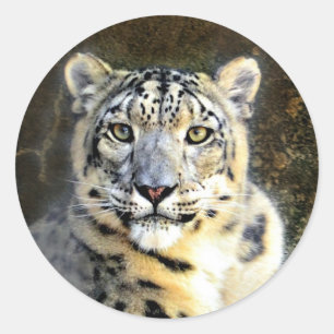 Snow Leopard Classic Round Sticker