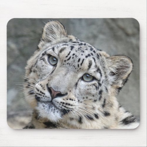 Snow Leopard Closeup Face  Mouse Pad