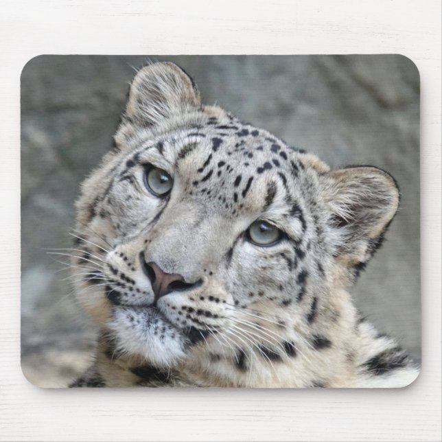 Snow Leopard Closeup Face  Mouse Pad (Front)