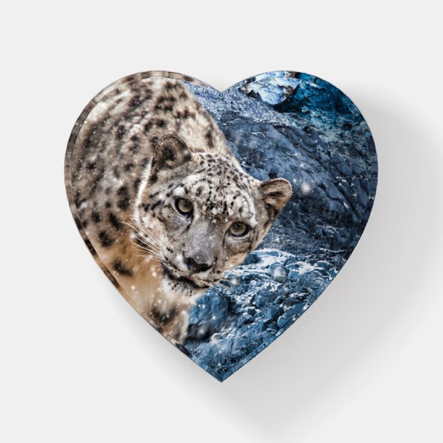 SNOW LEOPARD CLOUD WALKER PAPERWEIGHT (Front)