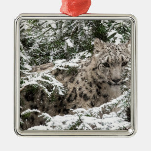 Snow Leopard Cub Hiding Metal Ornament