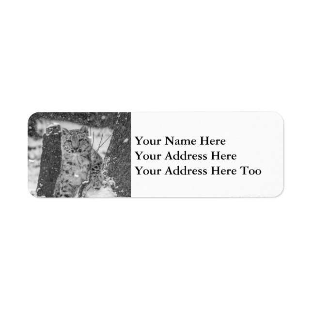 Snow Leopard Cub Peering out From a Snowy Tree Label (Front)