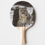 Snow Leopard Cub Ping-pong Paddle at Zazzle
