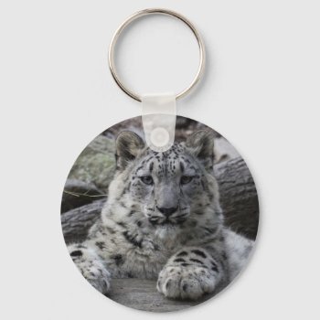 Snow Leopard Cub Sitting Keychain by CMcKee_Photography at Zazzle
