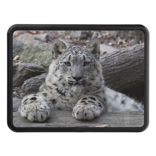 Snow Leopard Cub Sitting Trailer Hitch Cover