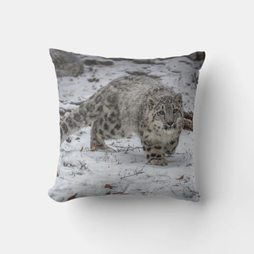 Snow Leopard Cub Stalking Throw Pillow