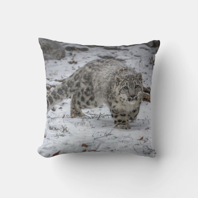Snow Leopard Cub Stalking Throw Pillow (Front)