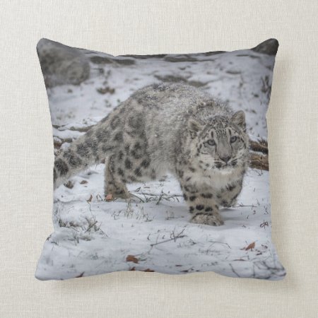 Snow Leopard Cub Stalking Throw Pillow