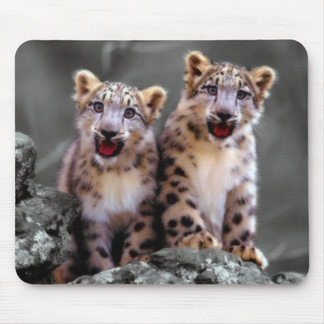 Snow Leopard Cubs Mouse Pad (Front)