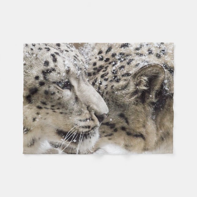 Snow Leopard Cuddle Fleece Blanket (Front (Horizontal))